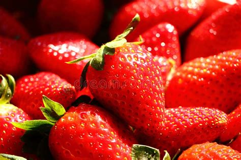 Strawberry Macro Stock Image Image Of Wellness Macro 51458249