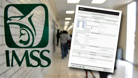 vigencia de derechos en imss ¿cómo consultarlo 2024 2025 🥇