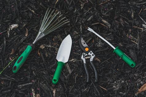 10 Essential Gardening Tools And What They Do Cnet