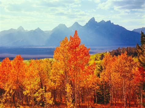The Best Fall Leaf Peeping Trips For Every Type Of Traveler Jetsetter