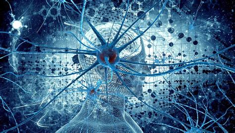14 Powerful Ways To Form New Synapses In The Brain — Optimal Living