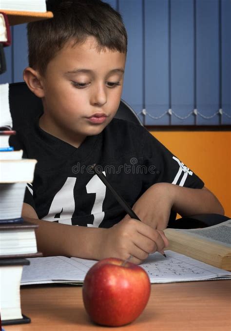 Schoolboy Stock Photo Image Of Research Homework Knowledge 5644474