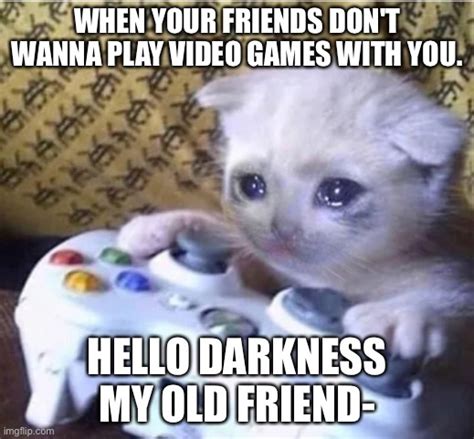 Sad Gaming Cat Imgflip