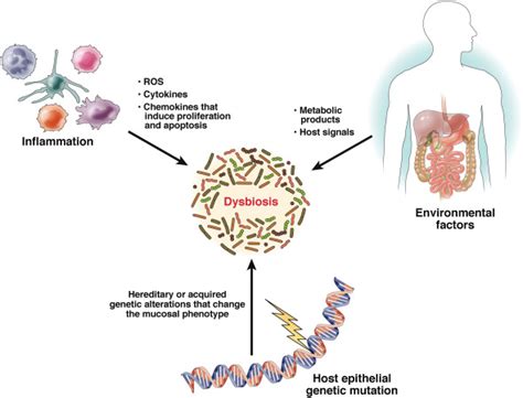 The Gastrointestinal Tumor Microenvironment Gastroenterology