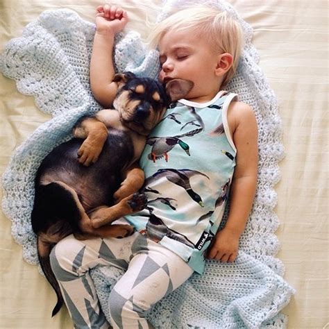 Famous Napping Toddler And Puppy Are Still Just As Cute As Ever Dogs