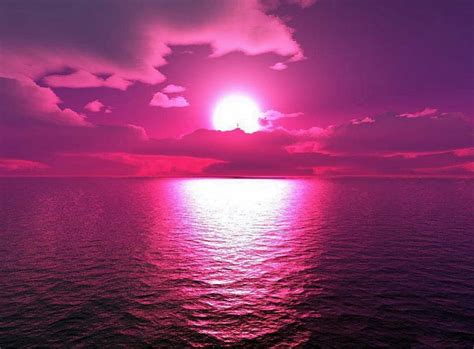 1290x2796px 2k Free Download Purple Sunset Sea Oceans Pinks