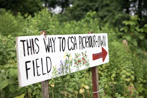 Hampshire College Farm Celebrates 25th Season Of Community Supported