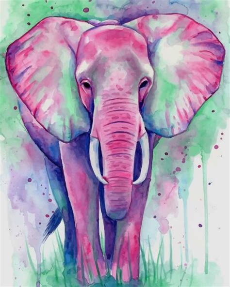 Watercolor Elephant New Paint By Numbers Numeral Paint Kit