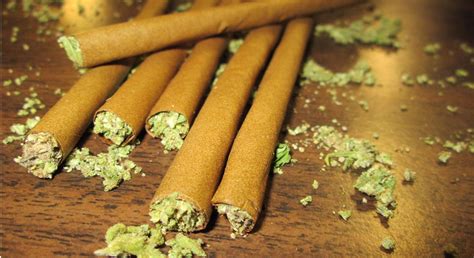What Are The Best Blunt Wraps For Serious Weed Smokers