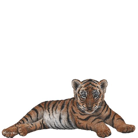 Tiger Wall Decal Sticker Tiger Cub Png Download 10241024 Free