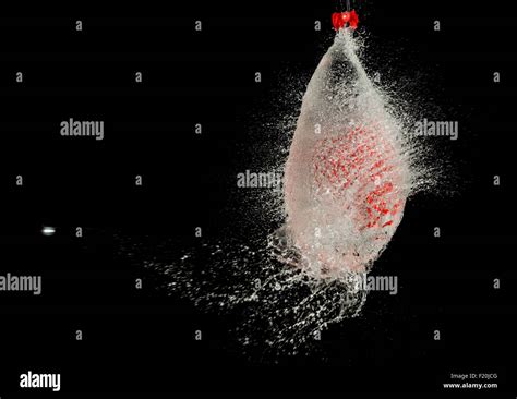 High Speed Photo Of Bursting Water Filled Balloon Shot With A Blow Dart