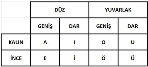 6. Sınıf Türkçe Ses Olayları (Bilgisi) Konu Anlatımı - HangiSoru.com