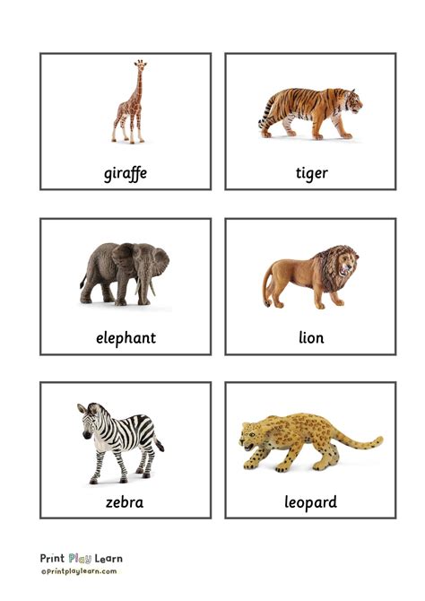 Animal Classification Cards - Montessori - Printable Teaching Resources ...