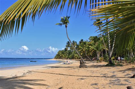 Las Terrenas Dominican Republic Beach Ocean Beach Nature