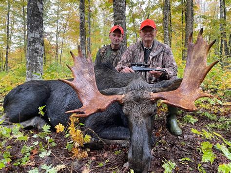 Maine Moose Hunting Outfitter And Guide In Wmd 123456and11