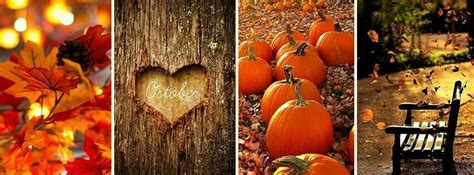 Pin By ~happylovelife ~ On Months Of The Year Halloween Cover Photo