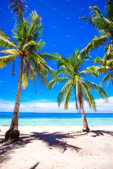 Beautiful Tropical Beach With Palm Trees White Sand Turquoise Ocean Water And Nature Stock