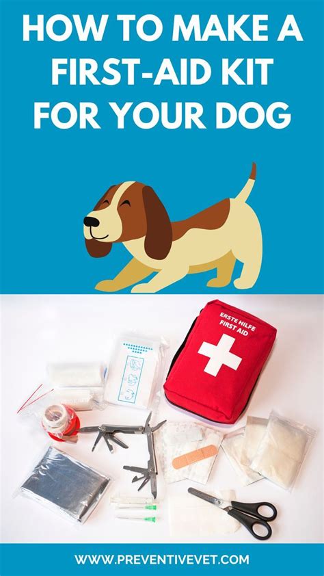 Build A First Aid Kit For Your Dog With Recommendations For What To