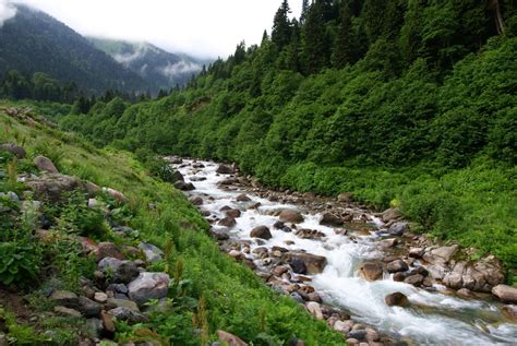 Karadeniz Yaylalar ve Batum Turu 5 Gece Otel Konaklamalı Kocaeli