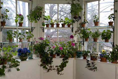 Seven Ways To Beautiful Houseplants Kevin Lee Jacobs Garden Windows