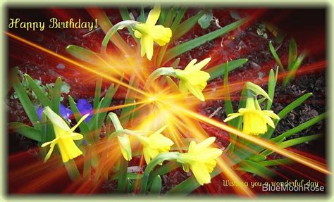 Extra Terrestrial Daffodils Birthday Card By Bluemoonrose Redbubble