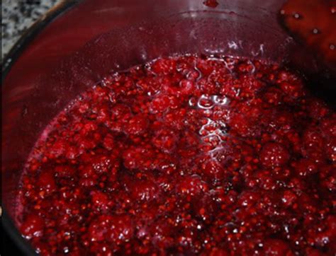 Vasi con marmellata e lamponi maturi con menta isolata su bianco. Marmellata di lamponi - Veganblog - ricette e prodotti dal ...