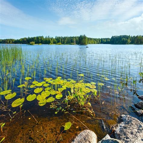 Premium Photo Lake Summer View Finland