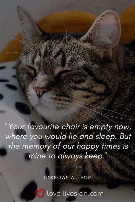 Loss Of A Pet Quotes Loss Of A Pet Cat Memories To Treasure Click