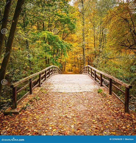Bridge In Autumn Forest Stock Photo Image Of Natural 32969628
