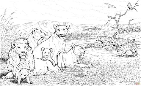 Lion Pride And Hyenas Coloring Page Free Printable
