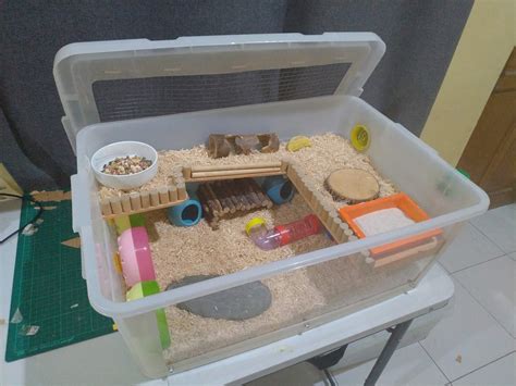 Hamster Bin Cages By Philippine Hamster Keepers Hamster Bin Cage
