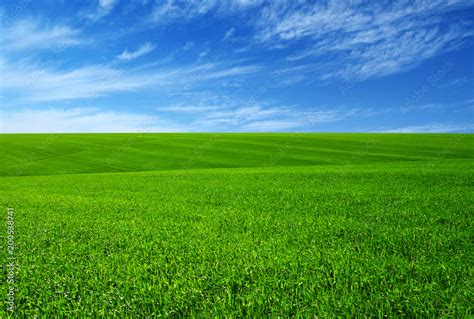 Green Grass Field Stock Photo Adobe Stock