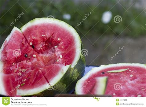 Watermelon Stock Photo Image Of Food Water Halves 44571262