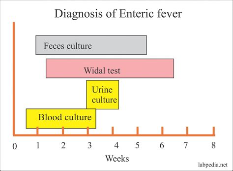 Enteric Fever Part 3 Typhoid Enteric Fever Diagnosis Widal Test