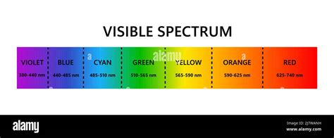 Visible Light Spectrum Optical Light Wavelength Electromagnetic
