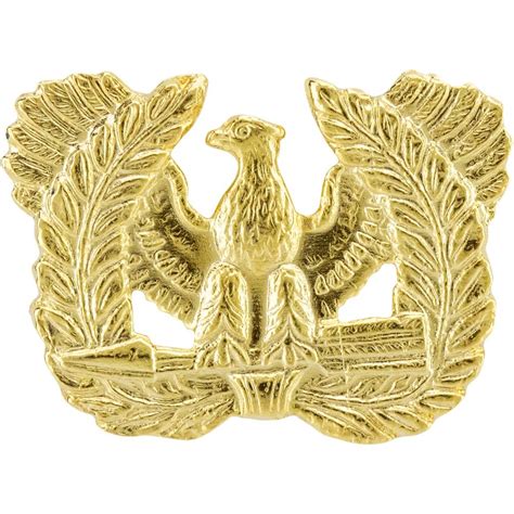 Warrant Officer Branch Insignia Officer Subdued Usamm