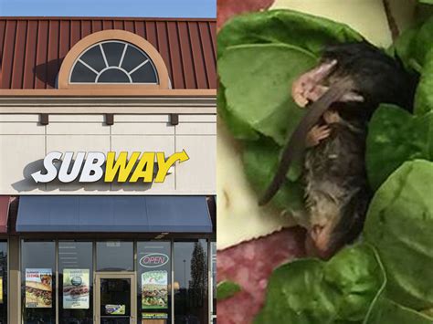 Entire Rat Found In Subway Sandwich In Oregon Posted On Facebook Metro News