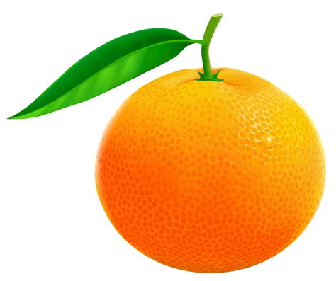 Oranges Clip Art