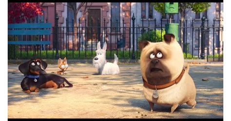 The Secret Life Of Pets 2016 The Secret Life Of Pets Review