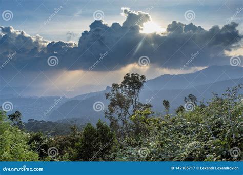 Beautiful Landscape Of The Forest In The Mountains During Sunset Stock