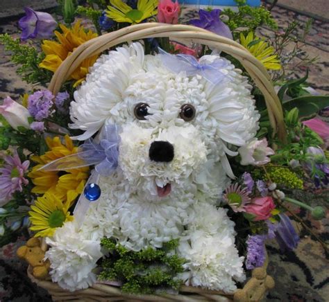 We always deliver flowers by hand using our own same day flower delivery fleet. 17 Best images about The Illustrated Animal on Pinterest ...
