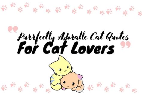 Purrfectly Adorable Cat Quotes For Cat Lovers • Kritter Kommunity