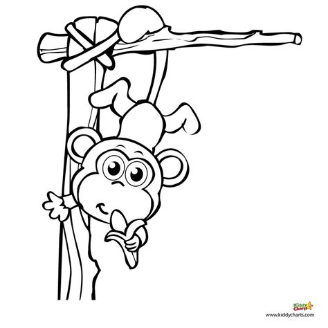 How to draw a monkey hanging Monkey coloring pages: A monkey for your monkey