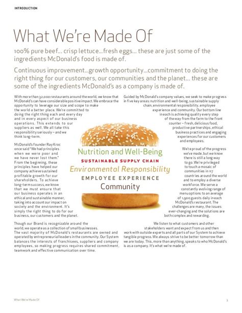 Mcdonalds 2010 Corporate Social Responsibility Report