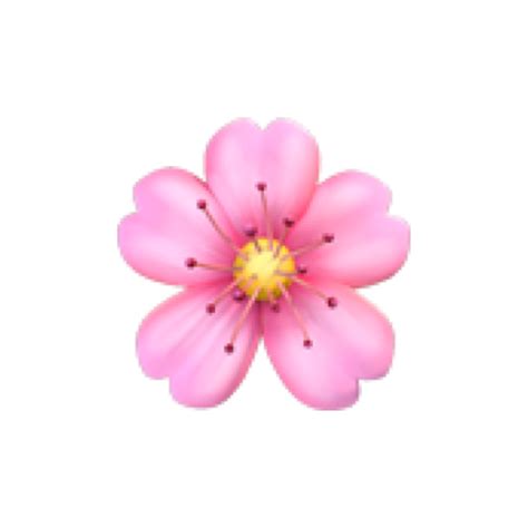 Flower Pink Rosa Blume Ios Apple Emoji Emojis Freetoedi