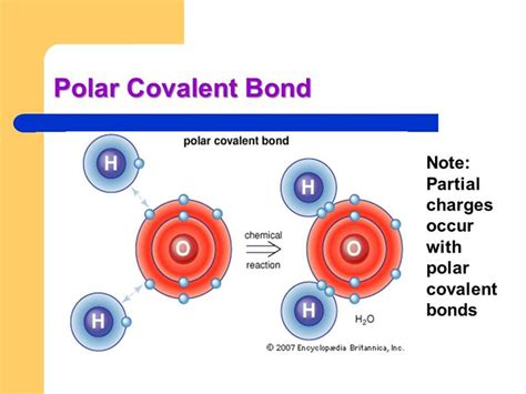 Water as a perfect example of hydrogen bonding. Strength of Polar Covalent Bond