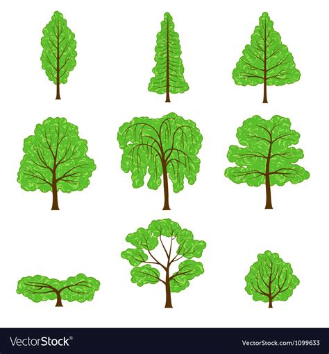 Set Different Crown A Trees Isolated On White Vector Image