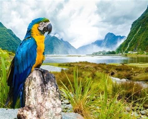 10 Outstanding National Parks In Brazil Tr