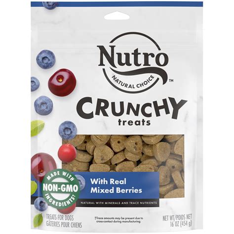 Nutro Real Mixed Berry Flavor Crunchy Treats For Dogs 16 Oz Pouch