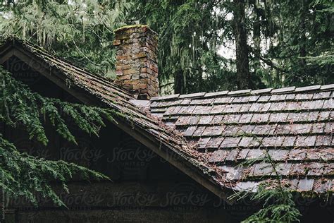 Cedar Shakes On Roof Of Old Cabin By Stocksy Contributor Justin